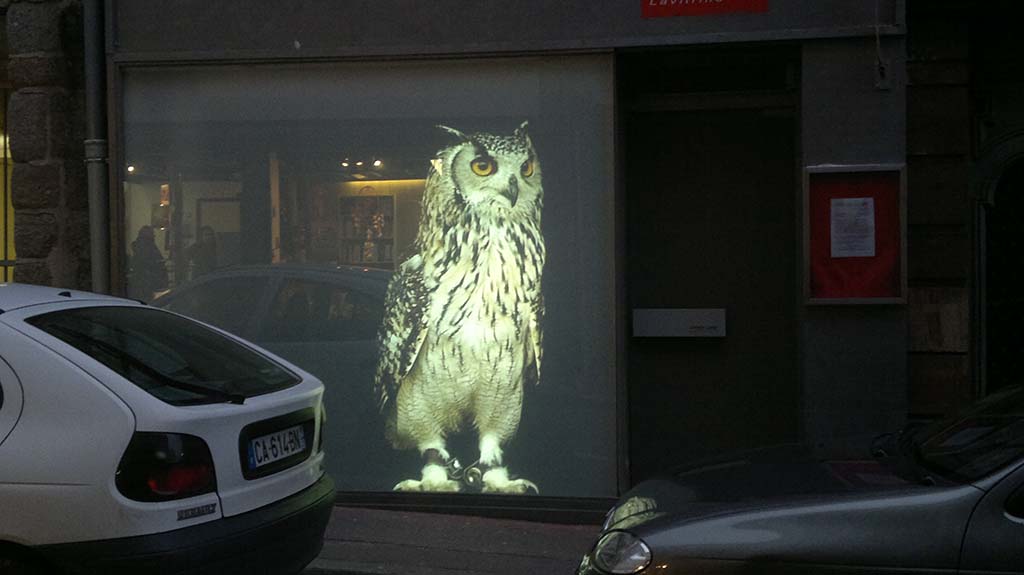 Le Hibou.jpg